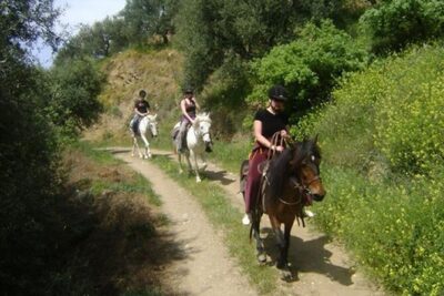 HORSE RIDING 1.5 hours mountains from area Hersonissos CRETE - The route: olive groves, viewpoints, and a ride toward the coastline