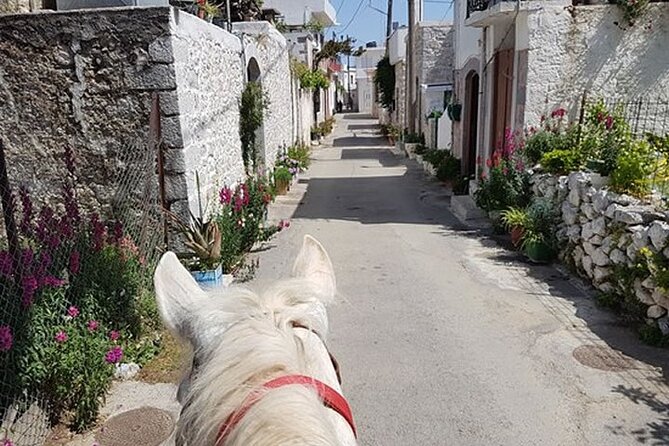HORSE RIDING 1.5 hours mountains from area Hersonissos CRETE - Price reality check: the booking cost and the €35 stables fee