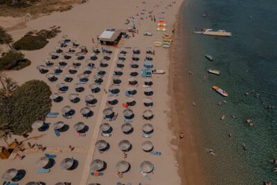 Ierapetra-Makrigialos: Vai Palm Beach, Moni Toplou & Sitia Tour - 9:00 am pickup and ride comfort: how to plan your day