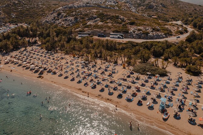 Ierapetra-Makrigialos: Vai Palm Beach, Moni Toplou & Sitia Tour - Vai Beach and its palm trees: the main event, with summer crowd reality