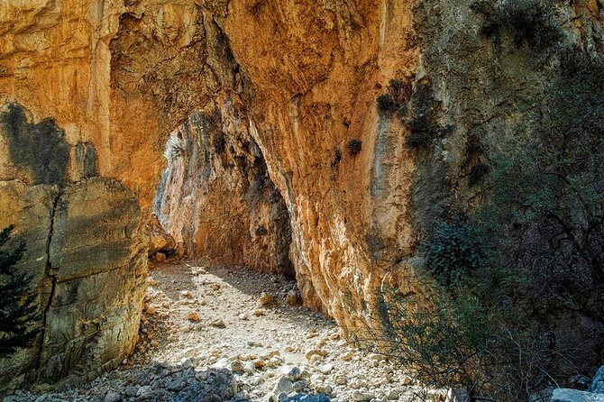 Imbros Gorge Adventure Day Trip from Chania - Imbros Gorge: 8 km of gentler hiking and lush Cretan plants