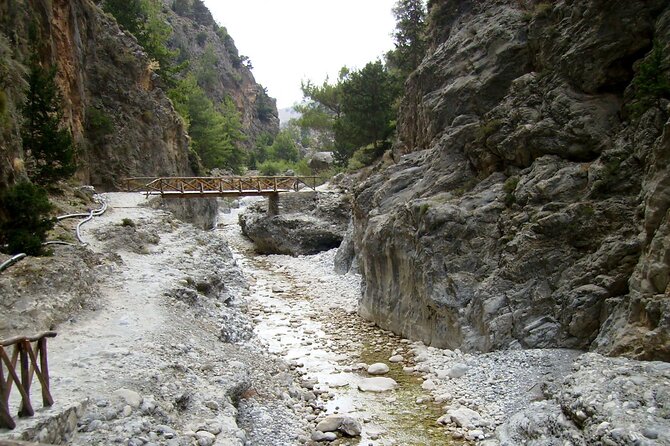 Imbros Gorge Adventure Day Trip from Chania - Getting there from Chania: 8:00 am pickup and a smooth rhythm