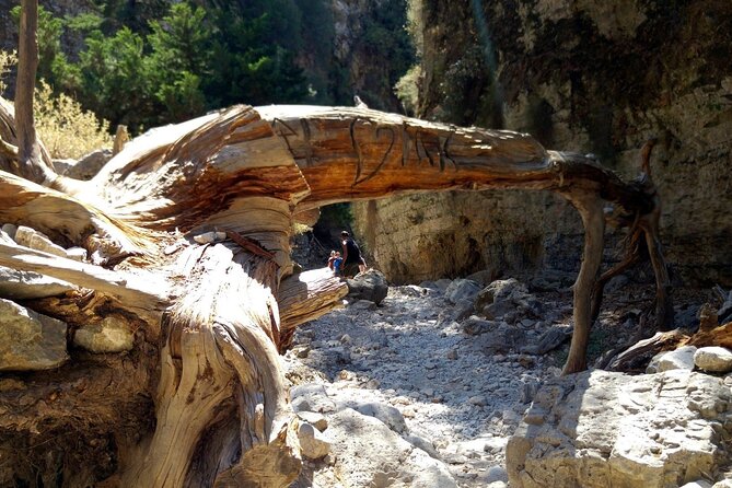 Imbros Gorge Adventure Day Trip from Chania - The hike reality check: shoes, pacing, and sun