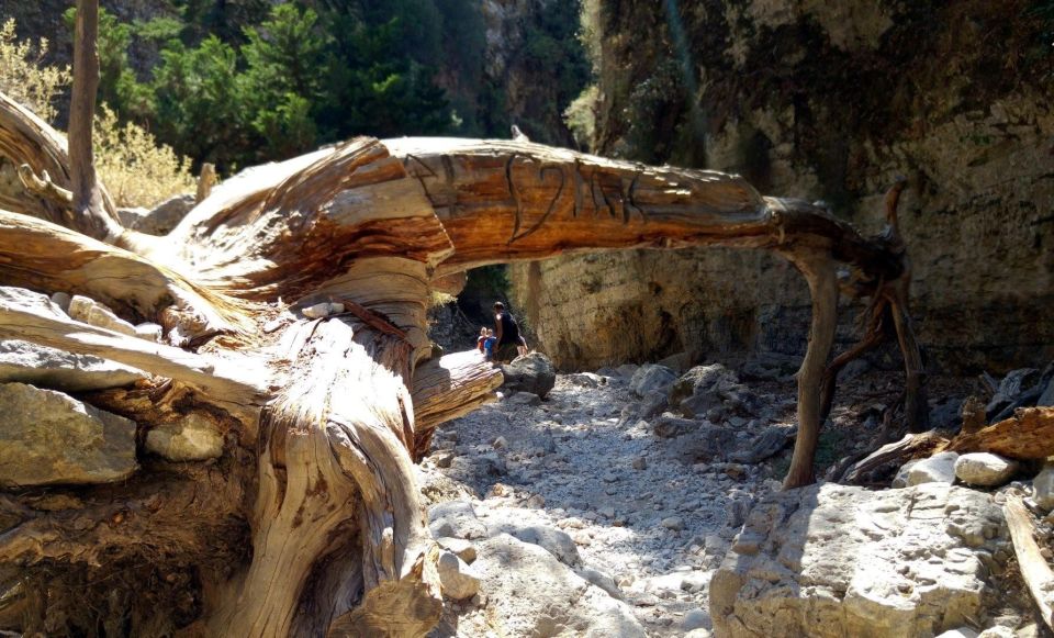 Imbros Gorge Hike From Rethymno - Imbros Gorge From Rethymno: The Big Idea