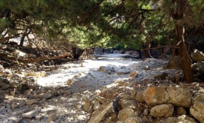 Imbros Gorge Hike From Rethymno - Getting There: Pickup Options and the Coach Ride