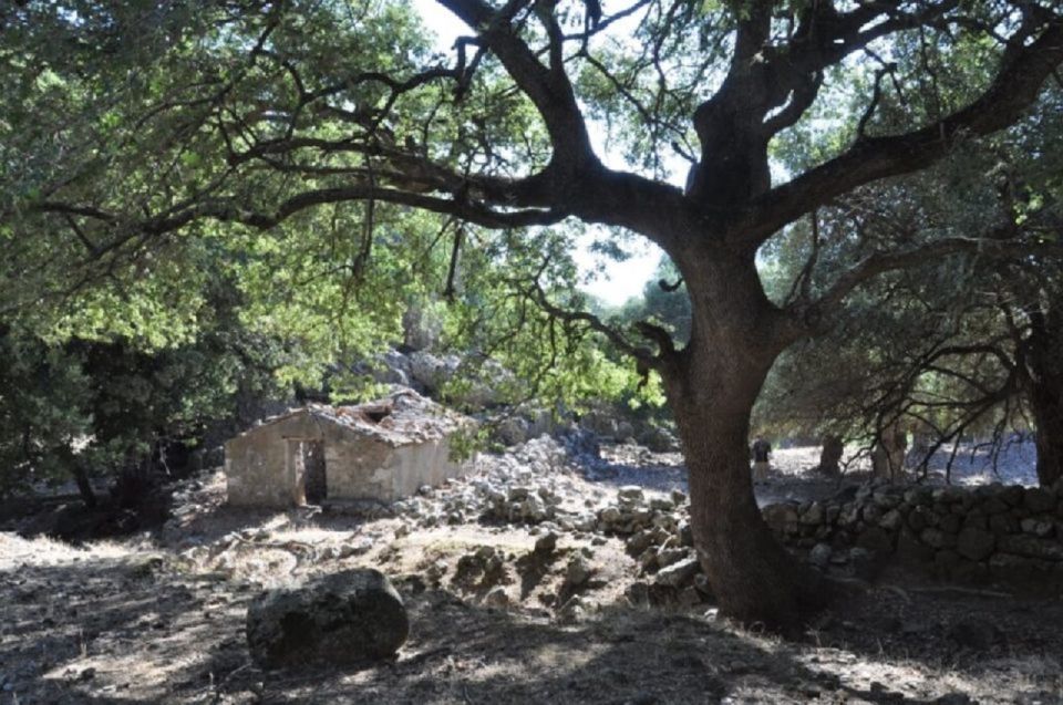 Imbros Gorge Hike From Rethymno - Who Should Book This and Who Should Skip