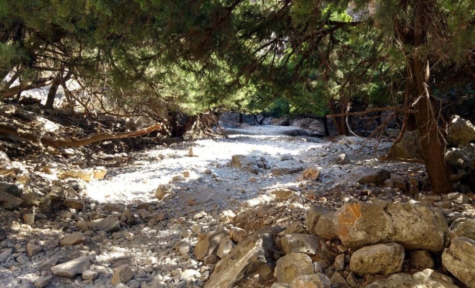 Imbros Gorge Hike From Rethymno - Getting There: Pickup Options and the Coach Ride