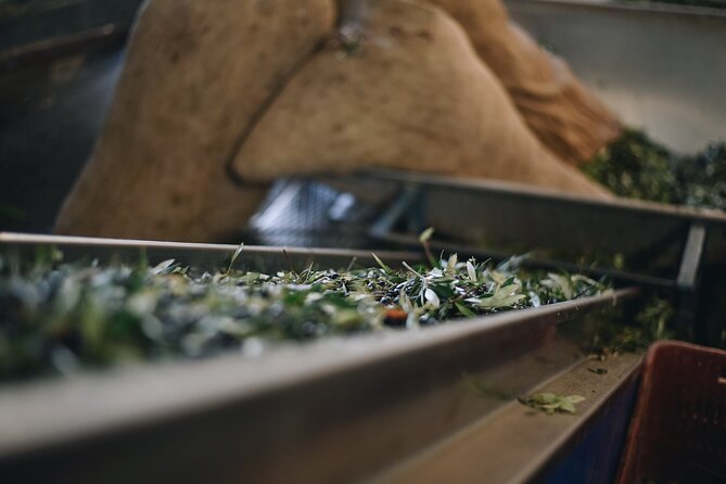Kleanthi Olive Farm: Guided Tour with Local Delicacies Tasting - Who Should Book Kleanthi Olive Farm (and Who Might Want to Skip)