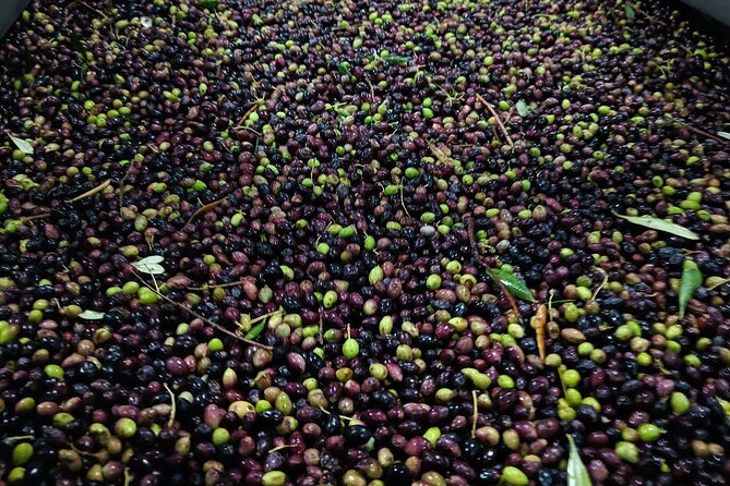 Kleanthi Olive Farm: Guided Tour with Local Delicacies Tasting - Should You Book It? My Practical Decision Guide