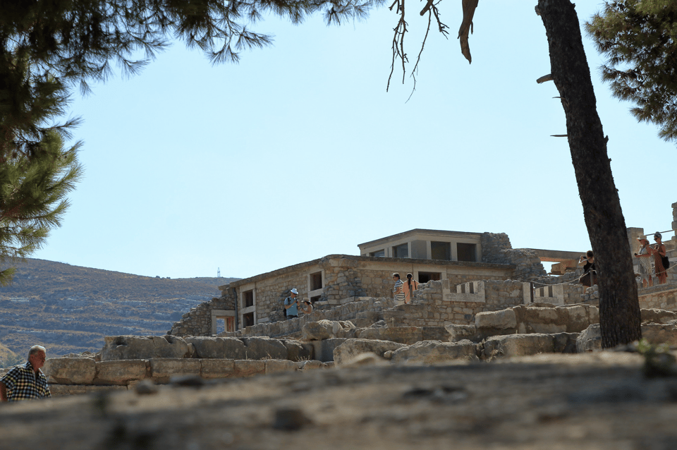 Knossos: Knossos Private Guided Tour - Meeting at the main entrance: how private guide logistics actually help