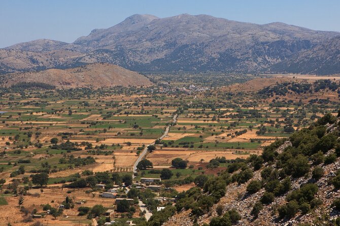 Knossos, Lasithi, Zeus Cave & Olive Mill Farm Combo Tour - Lyrakis Olive Mill Farm: learn how oil actually gets made