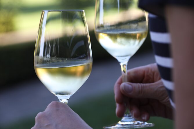 Knossos, Olive Grove, Winery - Distillery with Tastings & Lunch - Price and value: what $219.94 really covers
