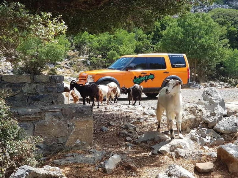 Knossos Palace and Pottery experience. Excursion Safari - The mountain pottery village stop (why the drive is part of the show)