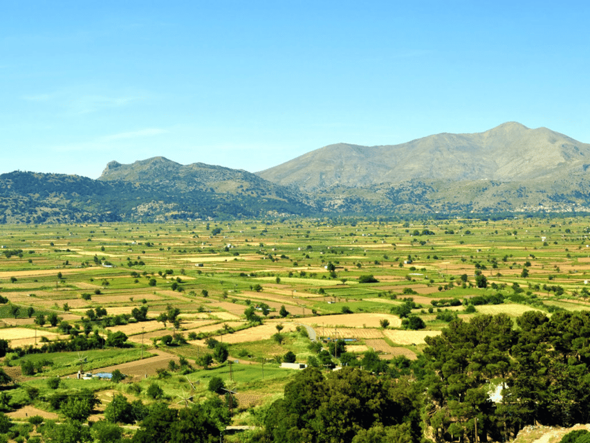 Knossos Palace &/or Zeus Cave + Olive Mill | Local & Private - Lassithi Plateau: windmills, hidden villages, and the Platanus tree legend