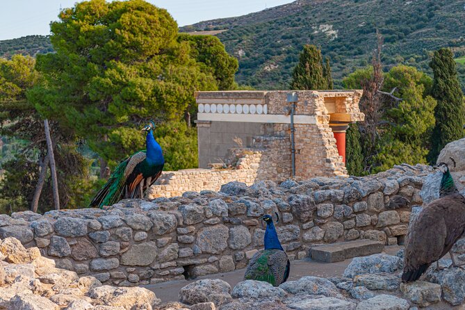 Knossos Palace Private Walking Tour - Royal Apartments and the Queen’s Megaron: power made visible