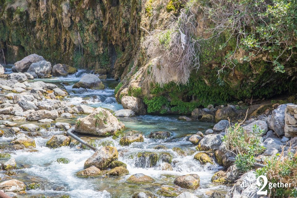 Kourtaliotiko Gorge: Snorkel Trip to the Waterfalls - Swimming under the falls (and why the wetsuit matters here)