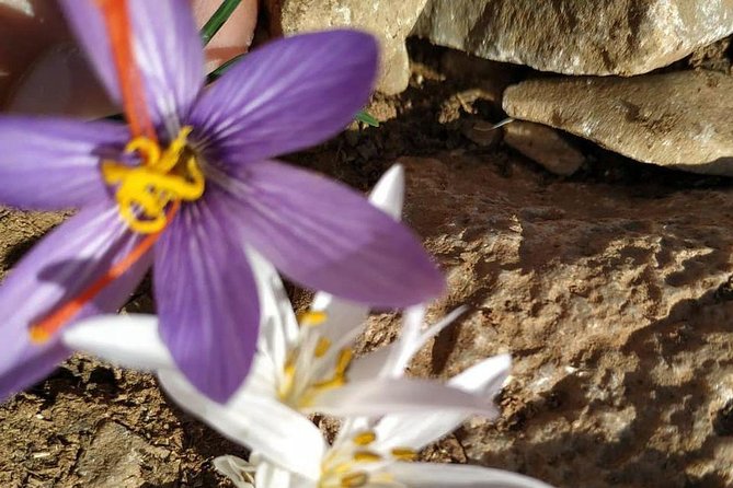 Lasithi –Plateau Traditional Vilages - Stop 1: Kritsa Village, Legends, and the Gorge-Village Mix
