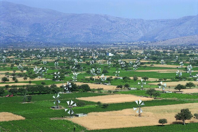 Lasithi - Zeus Cave -Olive Oil Factory - Traditional Villages - Key things to know