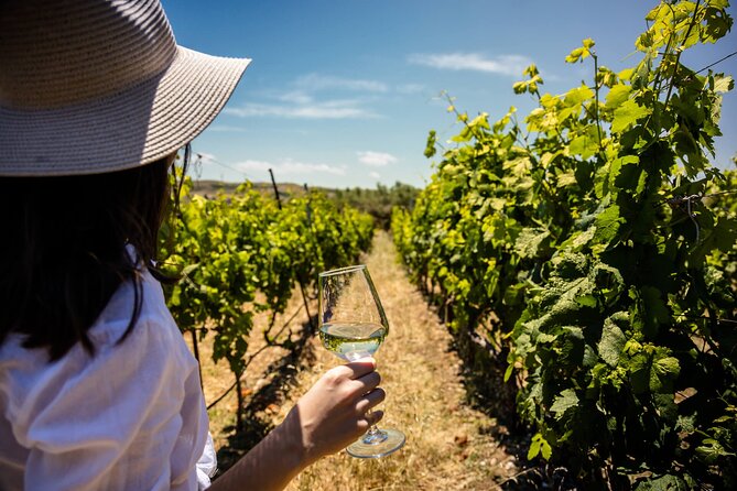 LUXURY PRIVATE Wine Tasting in CRETE (also for CRUISE SHIPS) - Two Ways to Taste: Tasting-Only vs Vineyard Picnic Pairing