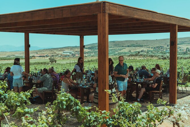 LUXURY PRIVATE Wine Tasting in CRETE (also for CRUISE SHIPS) - Best Fit: Who Should Book This Tour (and Who Might Prefer Something Else)