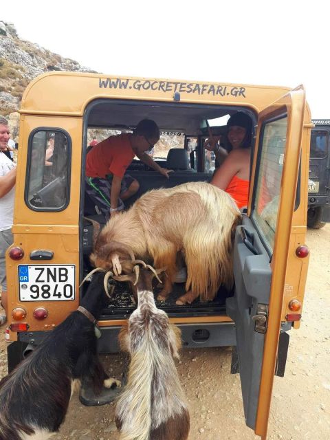 MALIA: East Crete Famous Places (Family and Child Friendly) - Food, Drinks, and the Little Local Touches That Matter