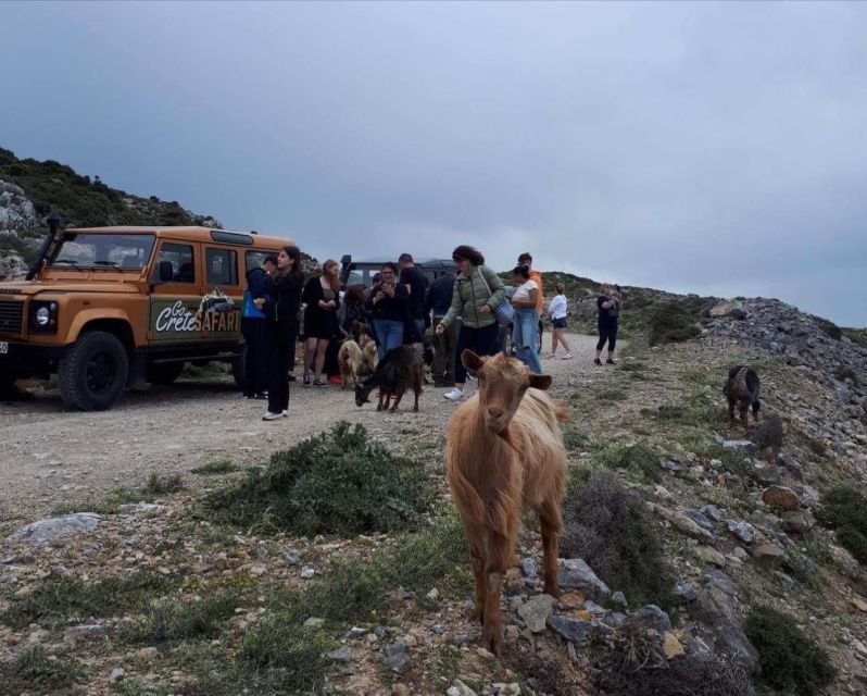 MALIA: East Crete Famous Places (Family and Child Friendly) - Price and Value: Does $103 Per Person Make Sense?