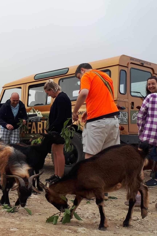 MALIA: Land rover Safari Lasithi Plateau and Zeus Cave - Shepherd’s farm for traditional Cretan cheese