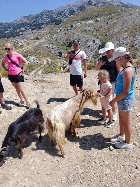 MALIA: Land rover Safari Lasithi Plateau and Zeus Cave - Zeus Cave: mythology stop, ticket cost, and closure dates