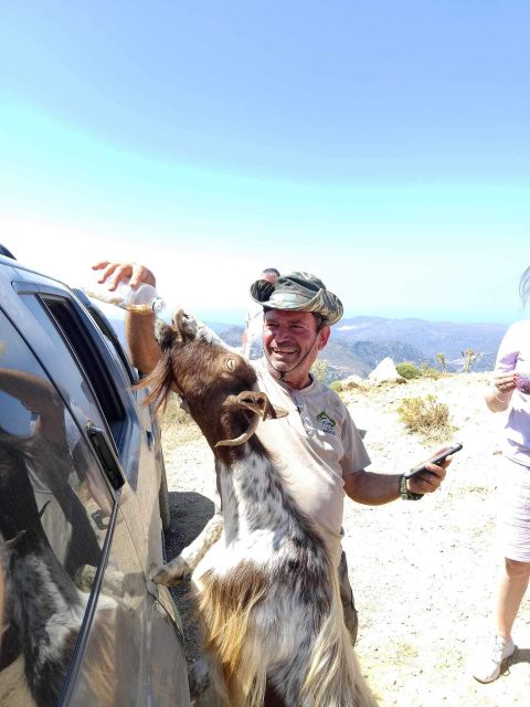 MALIA: Land rover Safari Lasithi Plateau and Zeus Cave - The traditional Cretan meal with local wine and water