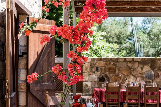 Manousakis Winery Shuttle Service Tour and Taste - Price and Value at $65.35: What You’re Paying For