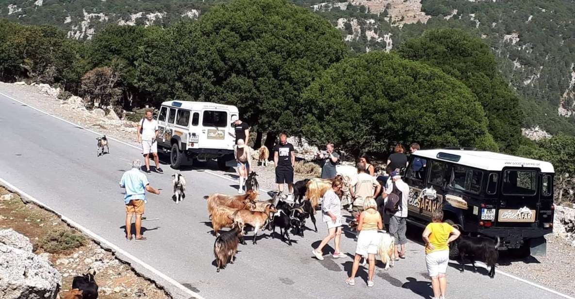 Matala Agiofarago Gorge Guided Jeep Safari Tour - Odogitria Monastery and the Messara Valley: where the scenery slows down