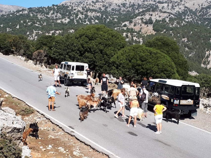 Matala Agiofarago Gorge Guided Jeep Safari Tour - Price and value: is $113 for 9 hours a smart deal?