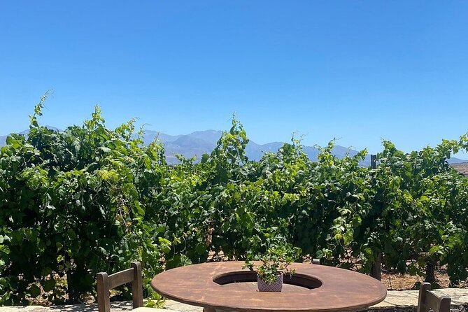 Minoan Crete: Knossos Palace, Winery Visit and Lunch at Archanes - Who should book this Minoan Crete day trip?