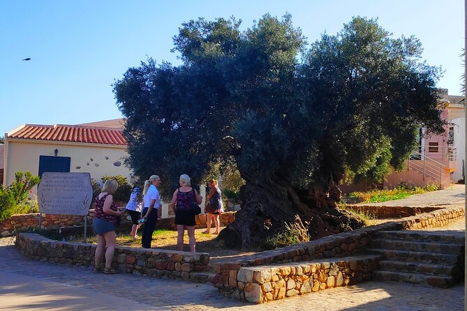 Monastery - Ancient Olive tree & Museum-Cretan Brewery Private Tour from Chania - Views, villages, and the road trip rhythm that keeps it enjoyable