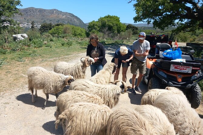 Off-road Buggy Safari in Crete with a Guide - Getting Started at Malia Travel: The 9:00 AM Start and Driver Paperwork