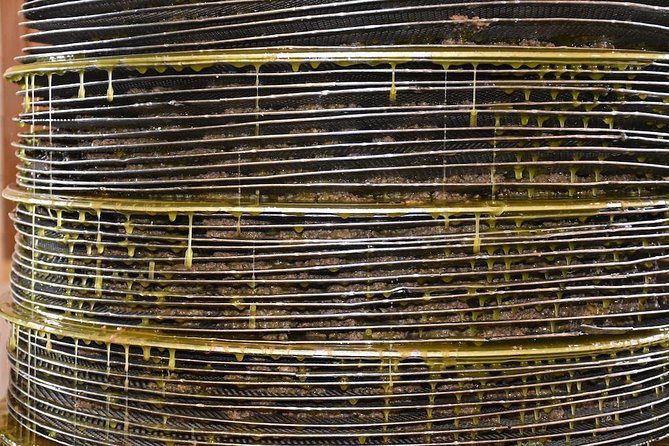 Olive Oil Tasting Tour - Price and what you actually get for $19.36