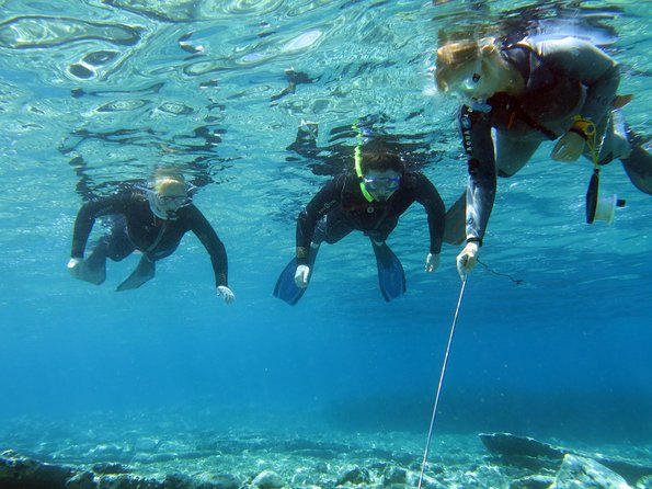 Olous – Guided Snorkelling Excursion to Discover Olous Sunken Ancient City - Key things to know before you go