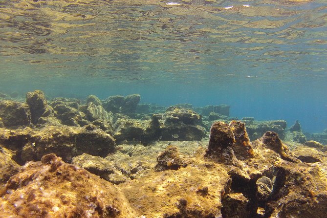Olous – Guided Snorkelling Excursion to Discover Olous Sunken Ancient City - In the Water at Olous: Ruins, Sea Grass, and Fish You’ll Remember