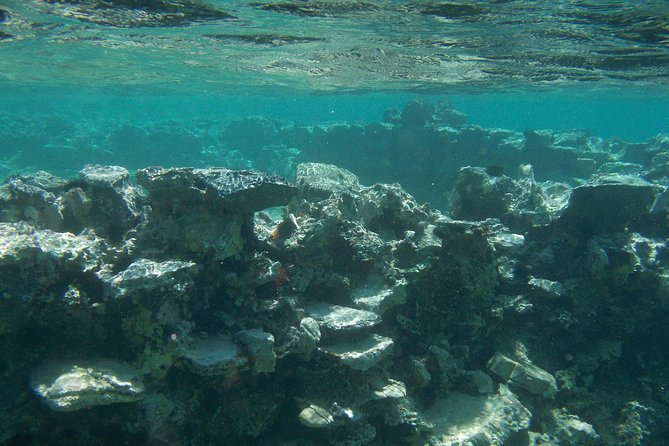 Olous – Guided Snorkelling Excursion to Discover Olous Sunken Ancient City - A Note on Weather and Comfort