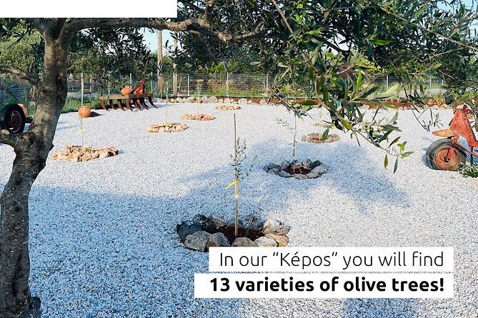 Pallada Semi-Private Olive Oil Tours in Sternes, Chania - Pallada Kèpos in Sternes: your olive oil lesson starts in the grove