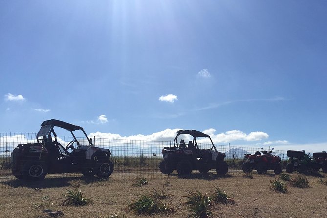 Polaris Buggy 4-Hour Safari from Rethymno Town - Photo Opportunities: When to Grab Shots and When to Just Enjoy It