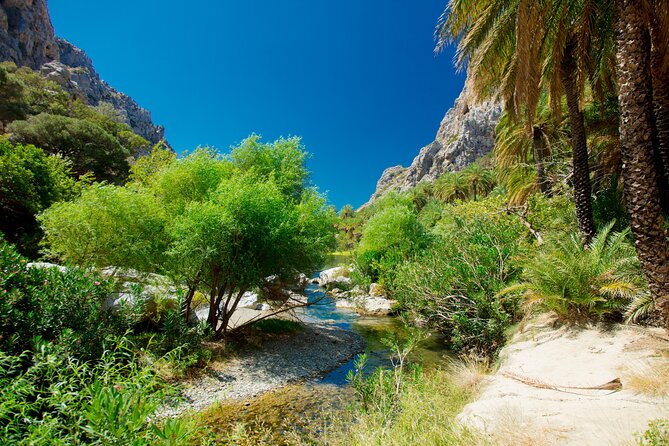 Preveli Beach & Palm Forest :Full-Day Tour with Lunch Box - Your time at Preveli: how to use the full ~3 hours