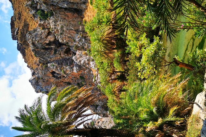 Preveli Beach & Palm Forest :Full-Day Tour with Lunch Box - Preveli Palm Forest: River of Preveli and those dramatic springs