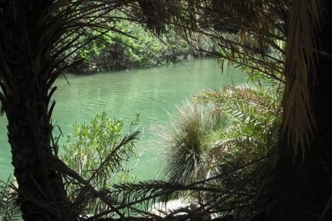 Preveli palm Beach & Damnoni Excursion - Why Preveli Palm Beach and Damnoni work so well together