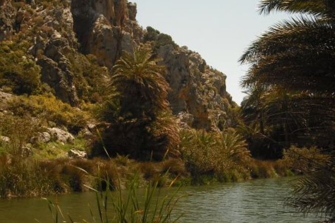 Preveli palm Beach & Damnoni Excursion - The boat ride reality check: tides, sea state, and schedule risk