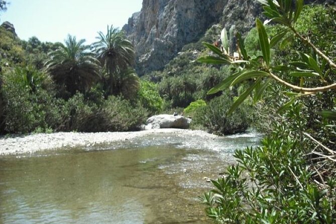 Preveli palm Beach & Damnoni Excursion - What’s included vs not included, in plain terms