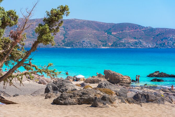 Private Boat Trip to Elafonisi and Balos beach - Kedrodasos: cedar-tree shoreline and the 50-meter swim option