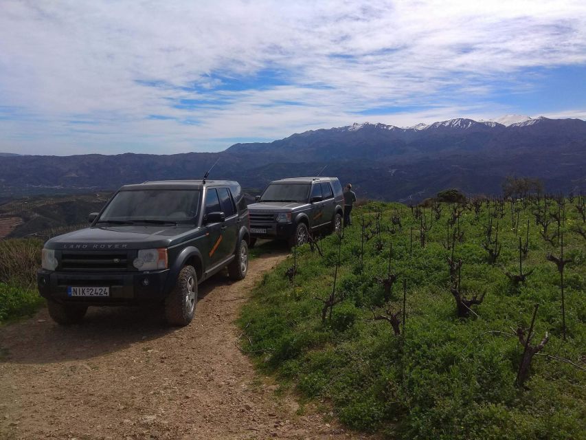 Private Exclusive Manousakis Winery and Vineyard Tour - Key highlights worth your attention