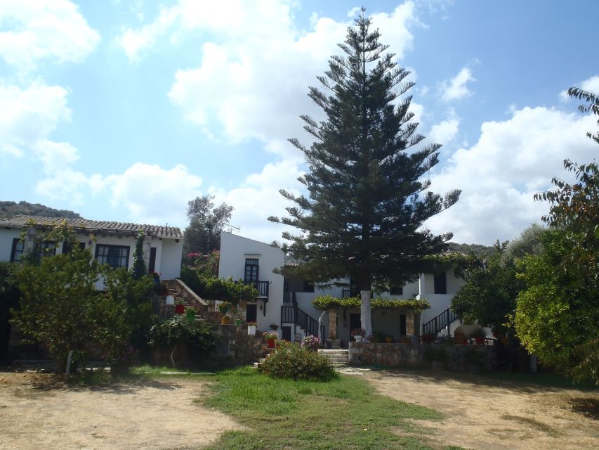 Private Exclusive Manousakis Winery and Vineyard Tour - Who should book this private Manousakis tour (and who shouldn’t)