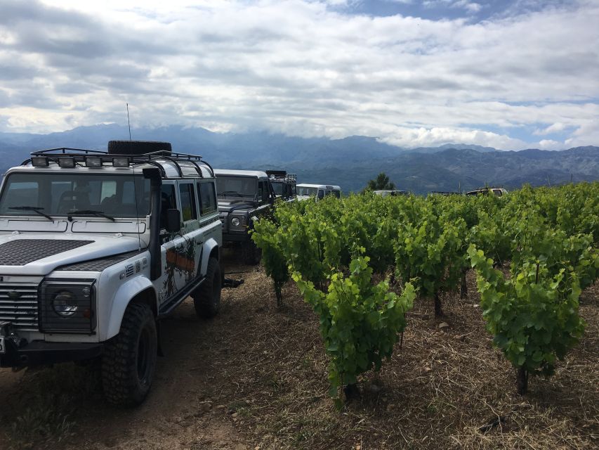 Private Exclusive Manousakis Winery and Vineyard Tour - From Chania pickup to Vatolakkos: how the day is paced